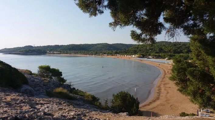 zobacz camping - zdjęcie 31