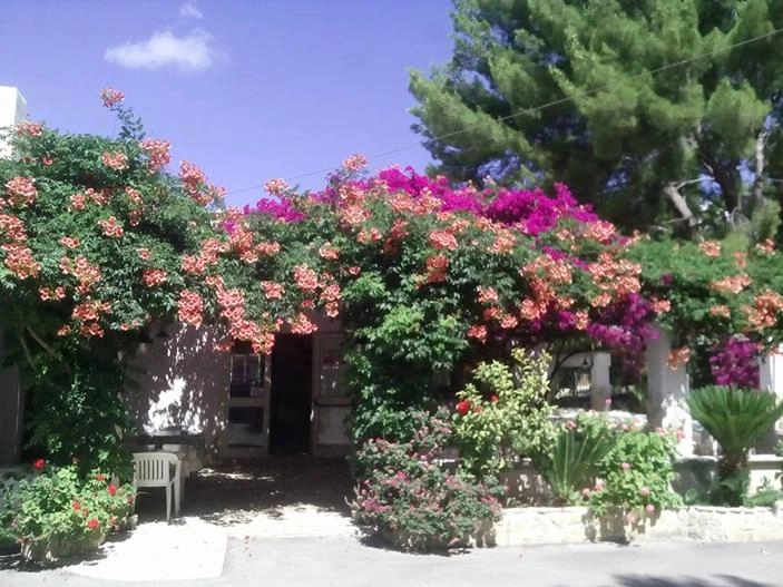 zobacz camping - zdjęcie 29