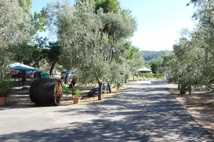 zobacz camping - zdjęcie 24