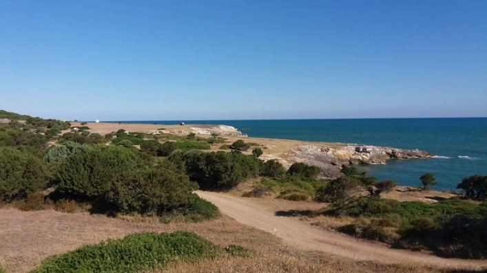 zobacz camping - zdjęcie 19