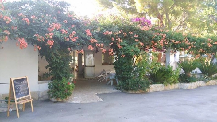 zobacz camping - zdjęcie 17