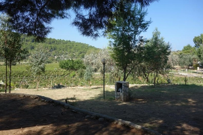 zobacz camping - zdjęcie 10