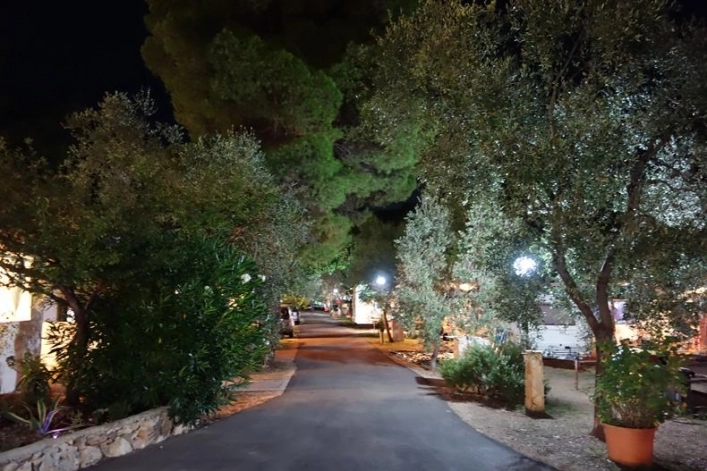 zobacz camping - zdjęcie 8