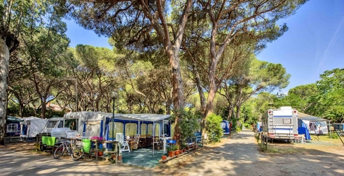 zobacz camping - zdjęcie 23