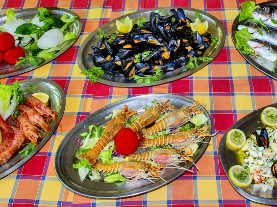 zobacz camping - zdjęcie 22