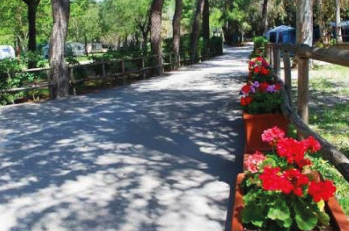 zobacz camping - zdjęcie 18