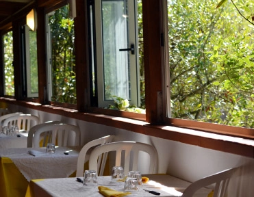 zobacz camping - zdjęcie 11