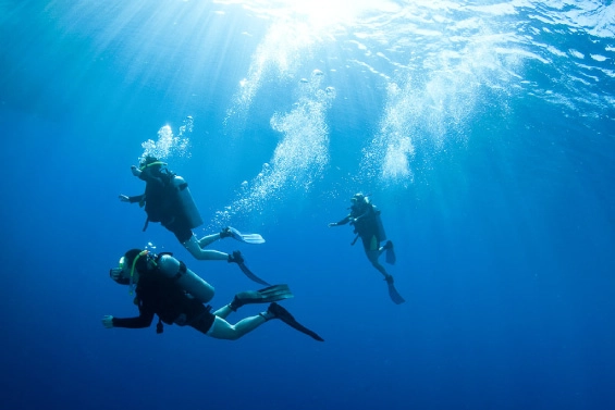 Camping Village Santapomata - zdjęcie 3