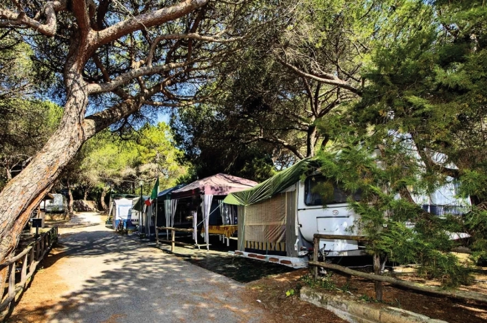 zobacz camping - zdjęcie 3