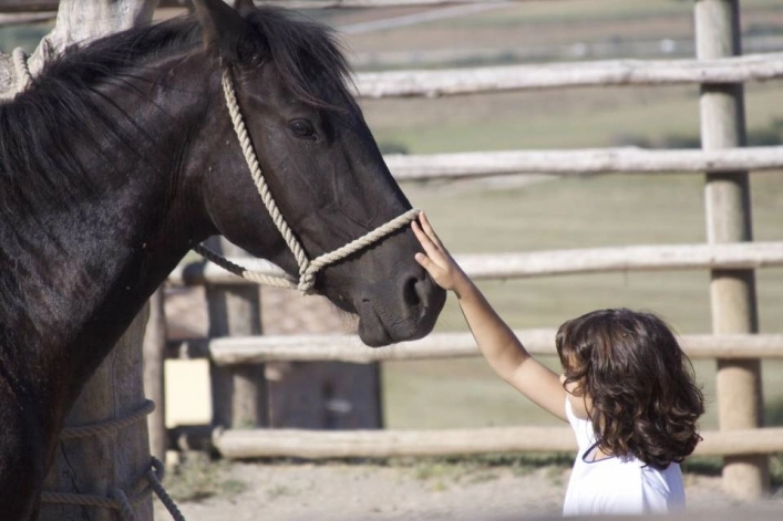 zobacz camping - zdjęcie 41