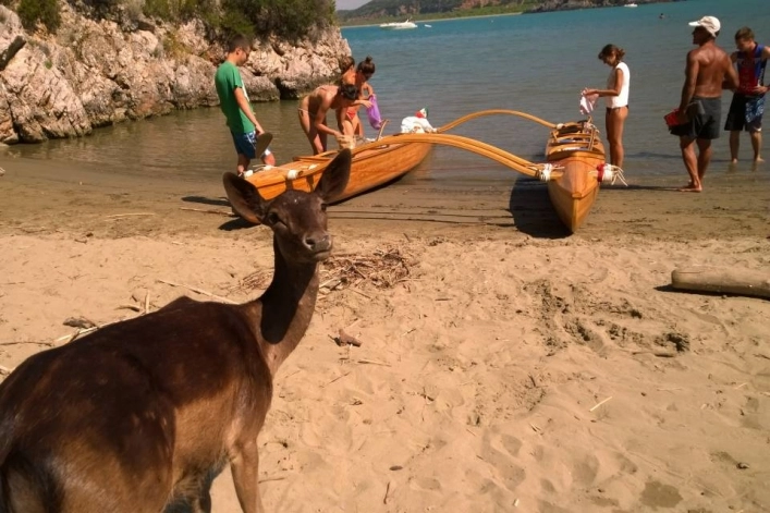 zobacz camping - zdjęcie 39