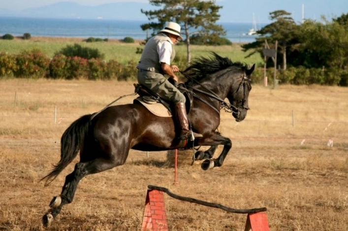 zobacz camping - zdjęcie 37