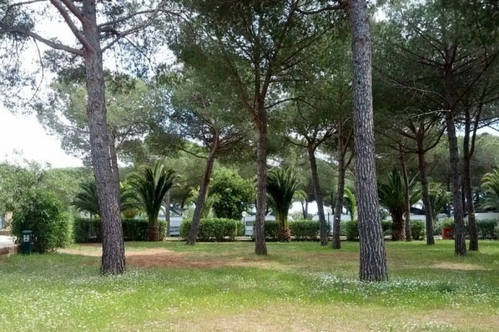 zobacz camping - zdjęcie 27