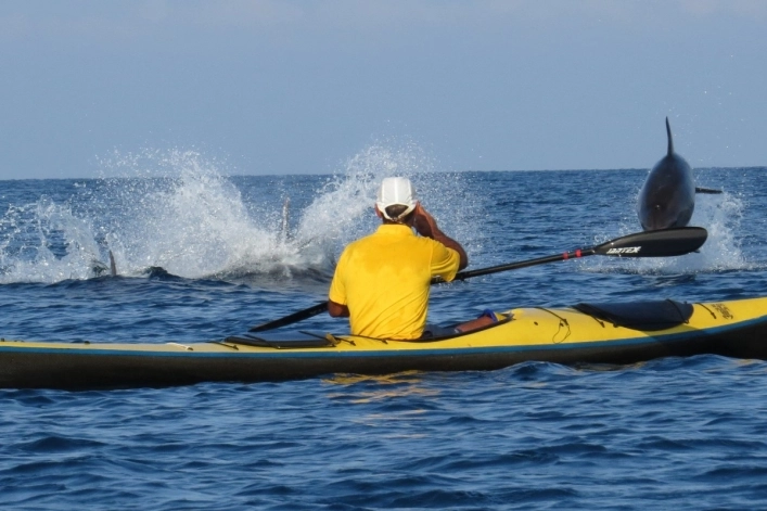 zobacz camping - zdjęcie 25