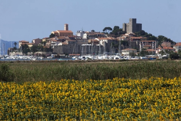 zobacz camping - zdjęcie 20