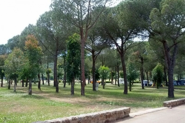 zobacz camping - zdjęcie 18