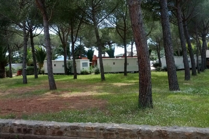 zobacz camping - zdjęcie 14