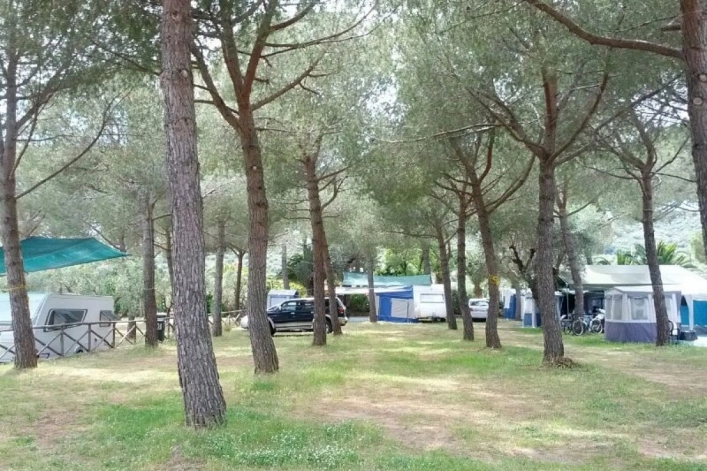 zobacz camping - zdjęcie 13