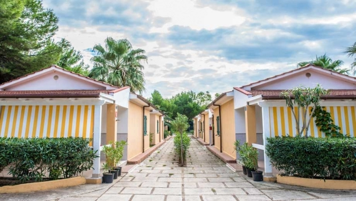 zobacz camping - zdjęcie 19