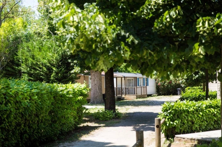 zobacz camping - zdjęcie 19