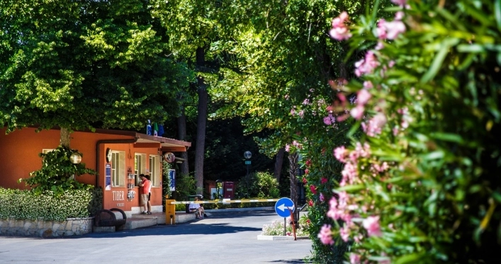 zobacz camping - zdjęcie 3