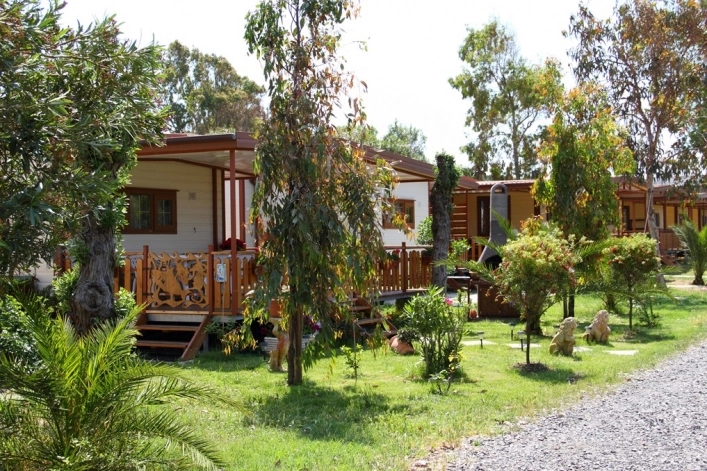 zobacz camping - zdjęcie 14