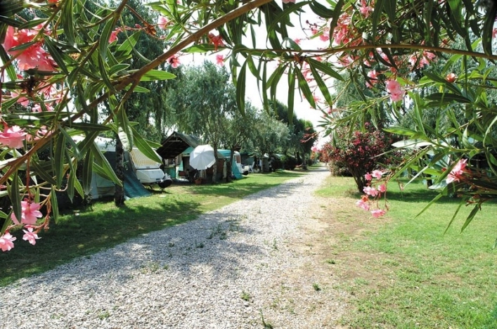 zobacz camping - zdjęcie 11