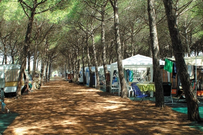 zobacz camping - zdjęcie 5