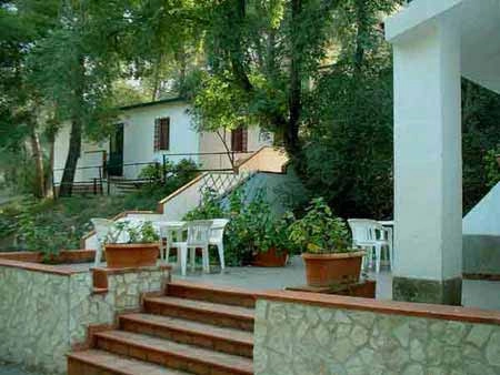 zobacz camping - zdjęcie 17