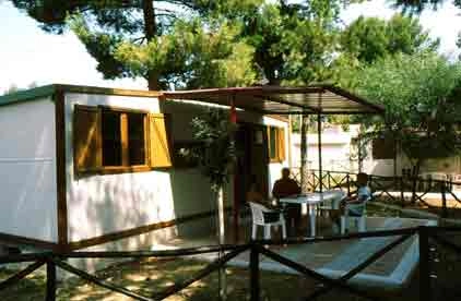 zobacz camping - zdjęcie 13