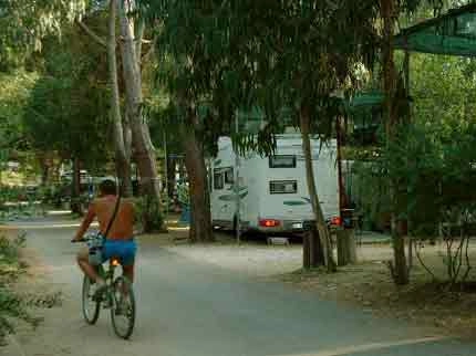 zobacz camping - zdjęcie 12