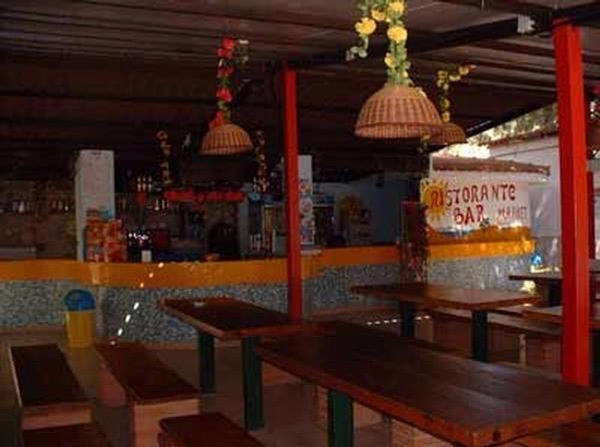 zobacz camping - zdjęcie 6