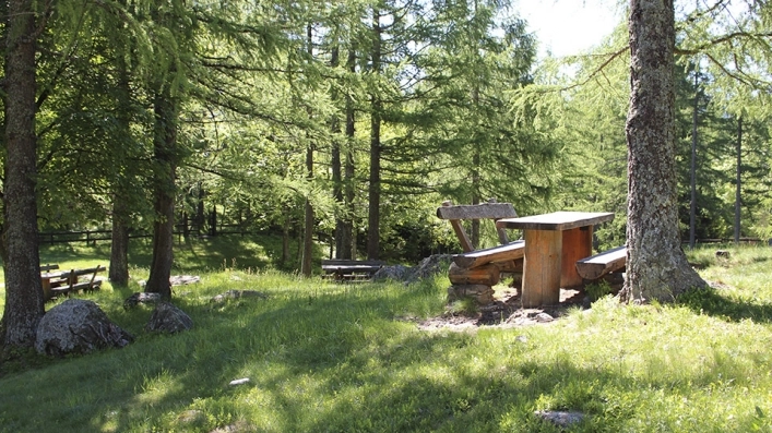 zobacz camping - zdjęcie 38