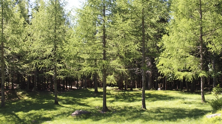 zobacz camping - zdjęcie 37