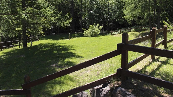 zobacz camping - zdjęcie 25