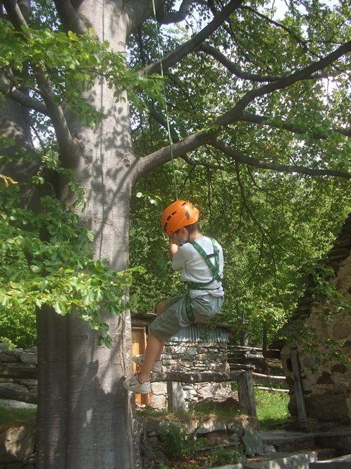 zobacz camping - zdjęcie 15