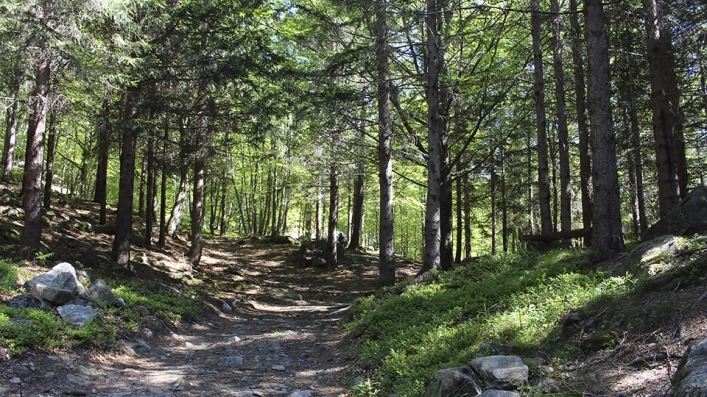 zobacz camping - zdjęcie 8