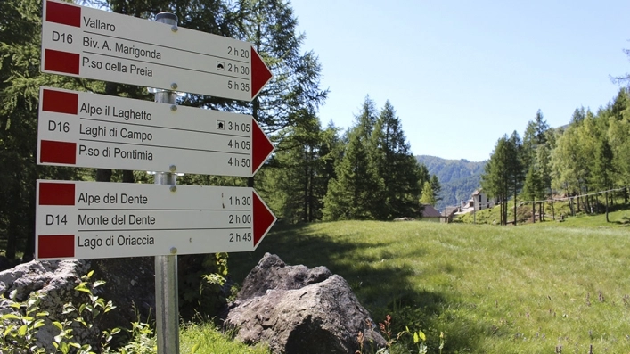 zobacz camping - zdjęcie 7