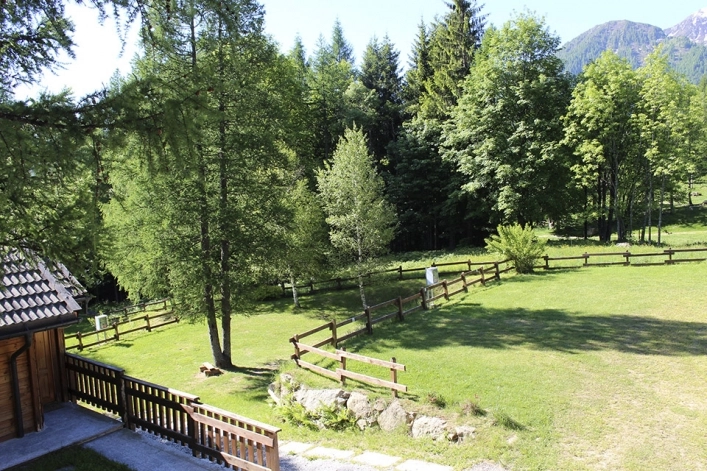 Camping village Yolki Palki - zdjęcie 2