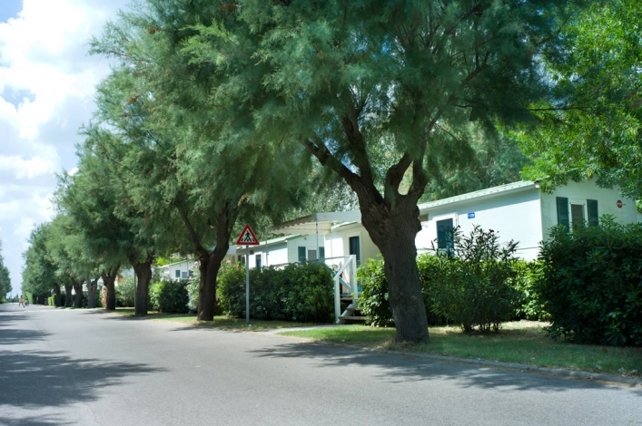 zobacz camping - zdjęcie 30