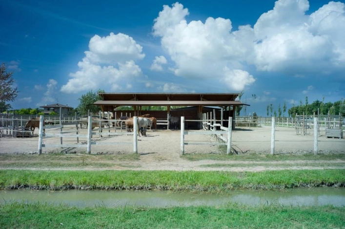 zobacz camping - zdjęcie 21