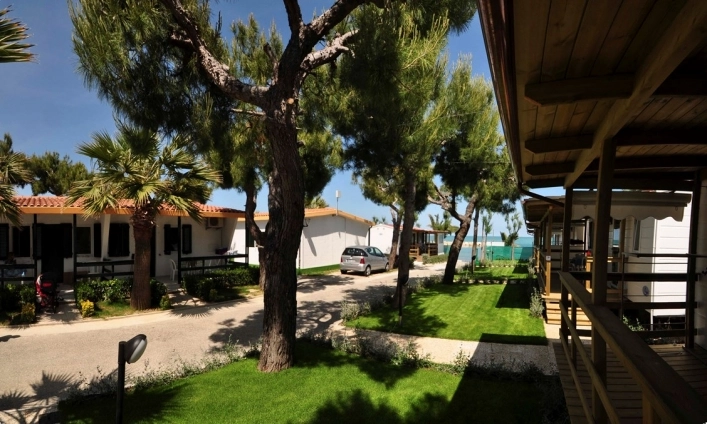 zobacz camping - zdjęcie 31