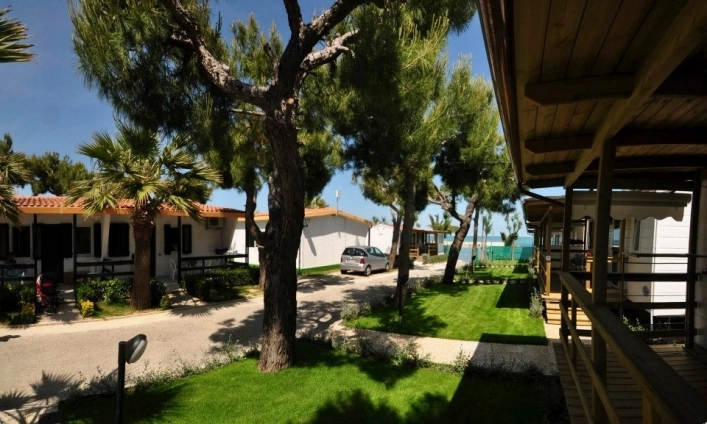 zobacz camping - zdjęcie 27