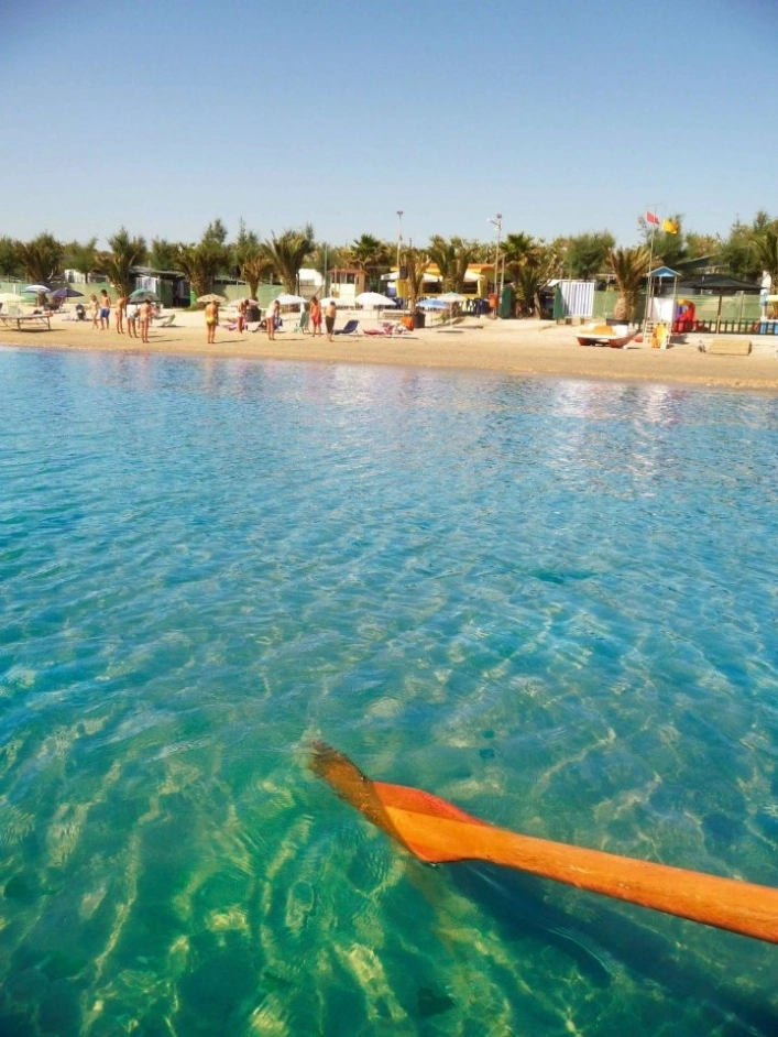 zobacz camping - zdjęcie 24