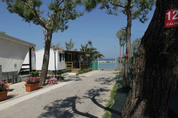 zobacz camping - zdjęcie 17