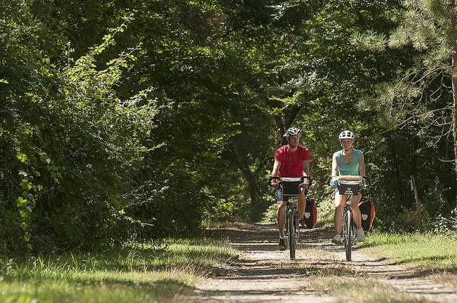 zobacz camping - zdjęcie 20