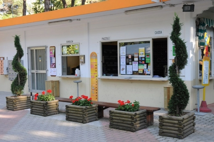 zobacz camping - zdjęcie 11