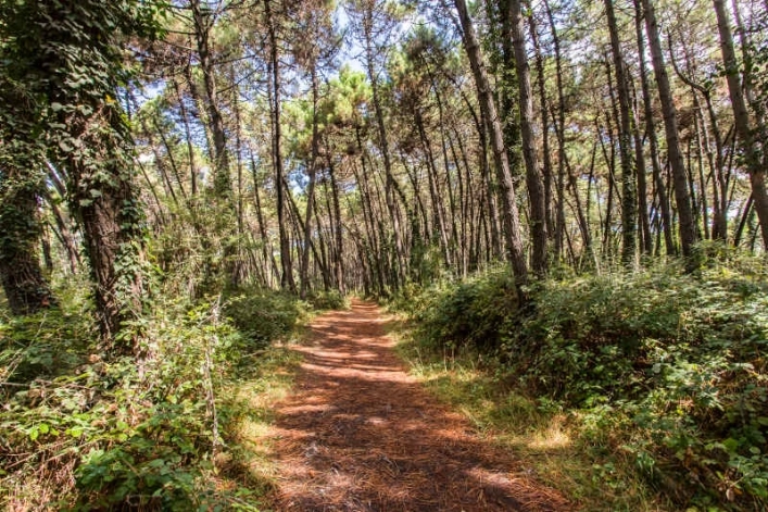 Camping Villaggio del Sole - zdjęcie 1
