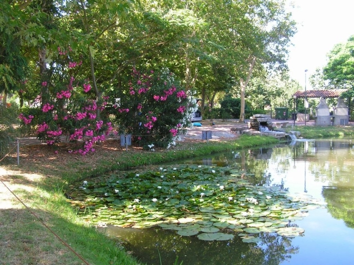 zobacz camping - zdjęcie 28