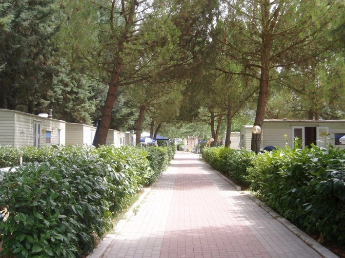 zobacz camping - zdjęcie 23